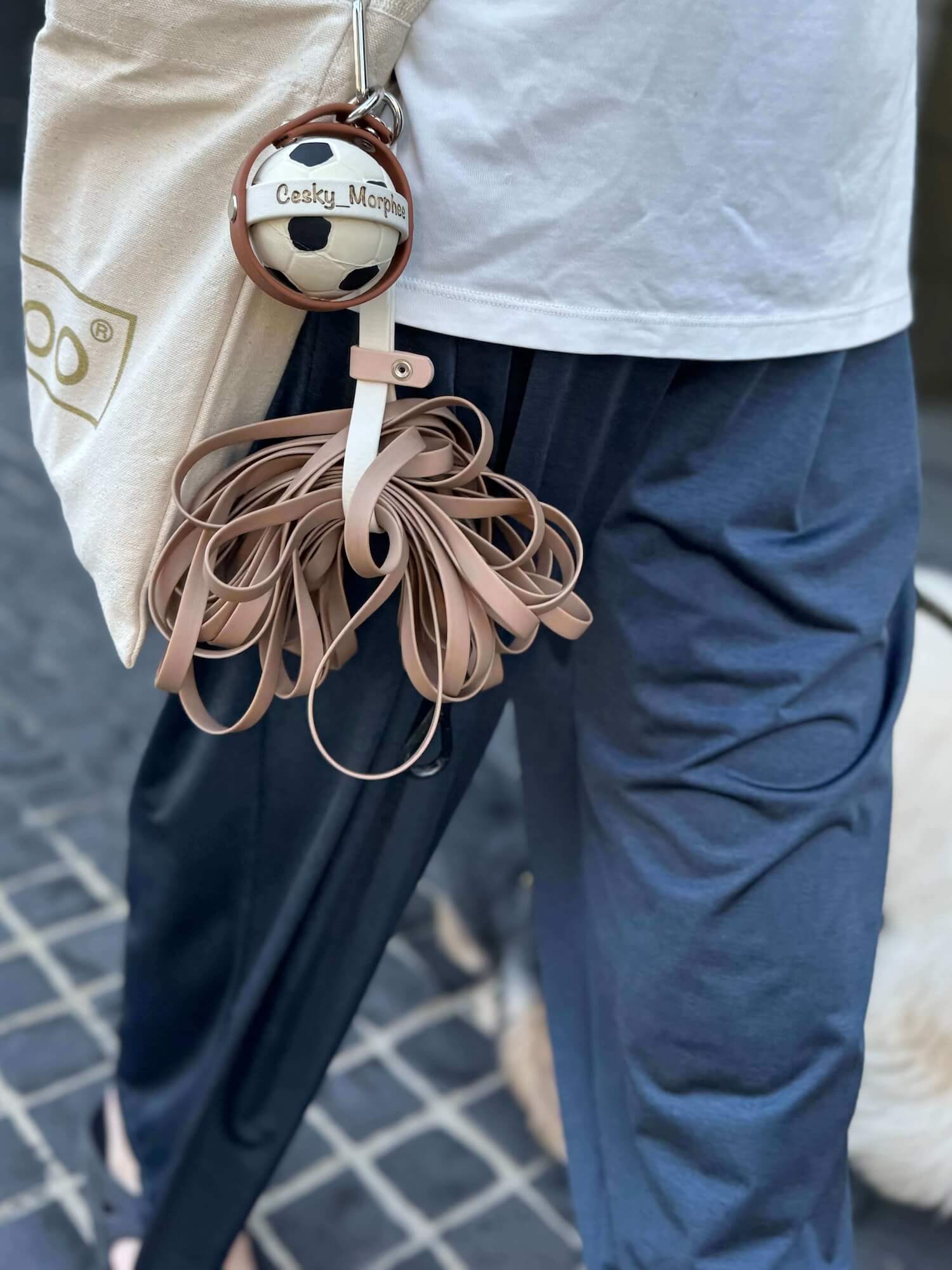 Leash Holder