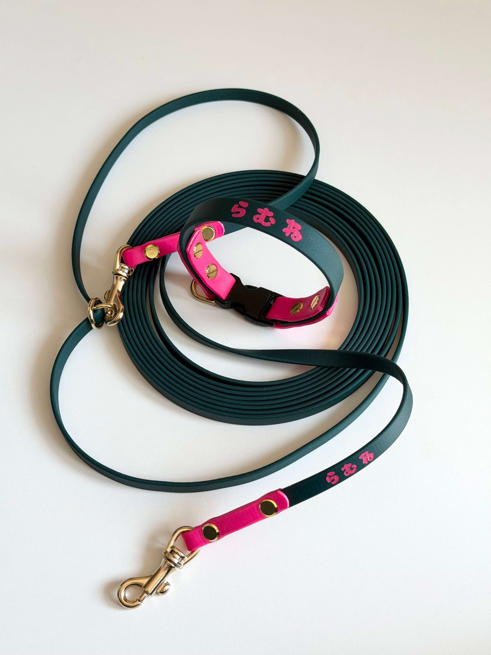 BioThane 9mm Leash