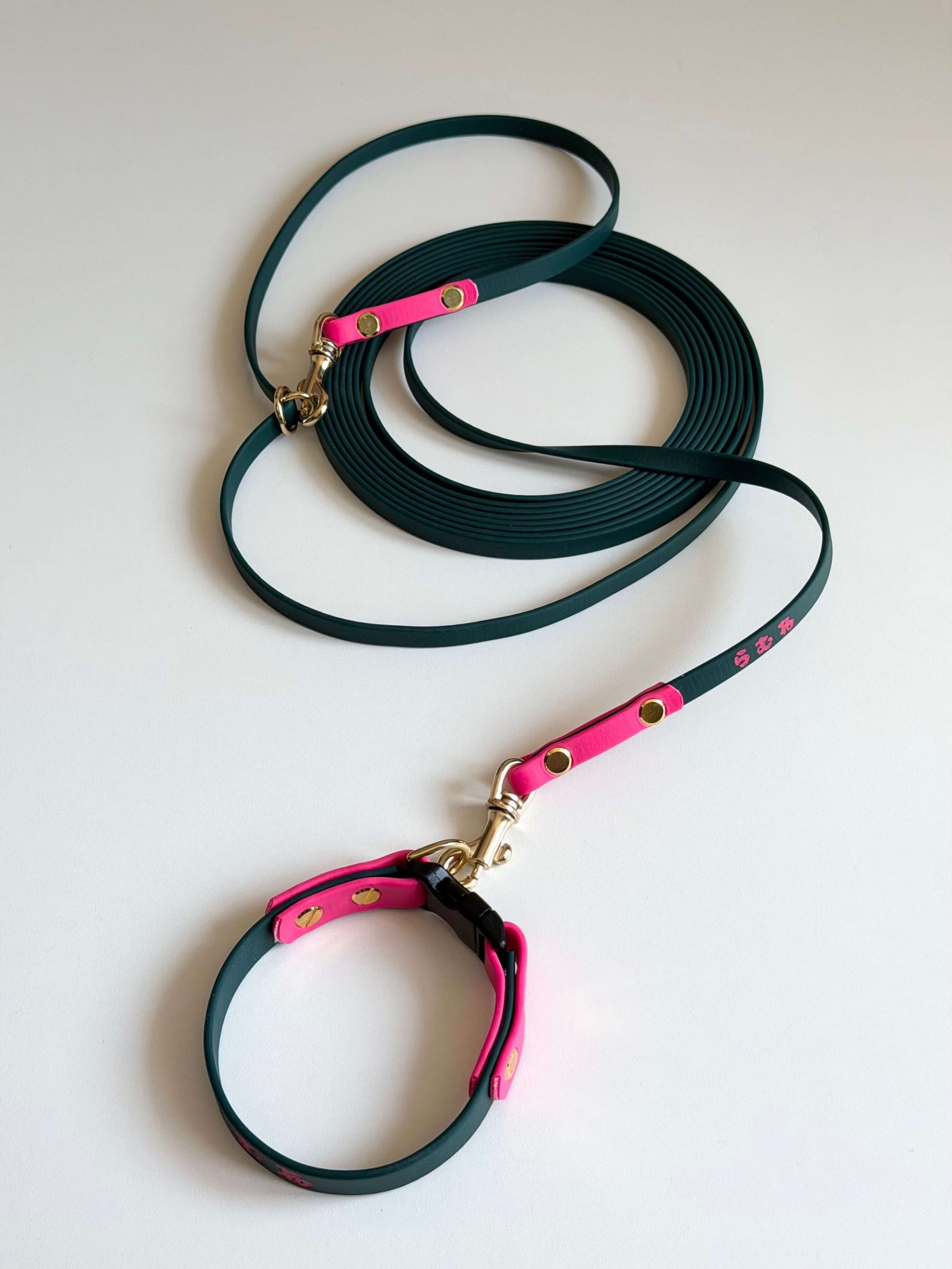 BioThane 9mm Leash