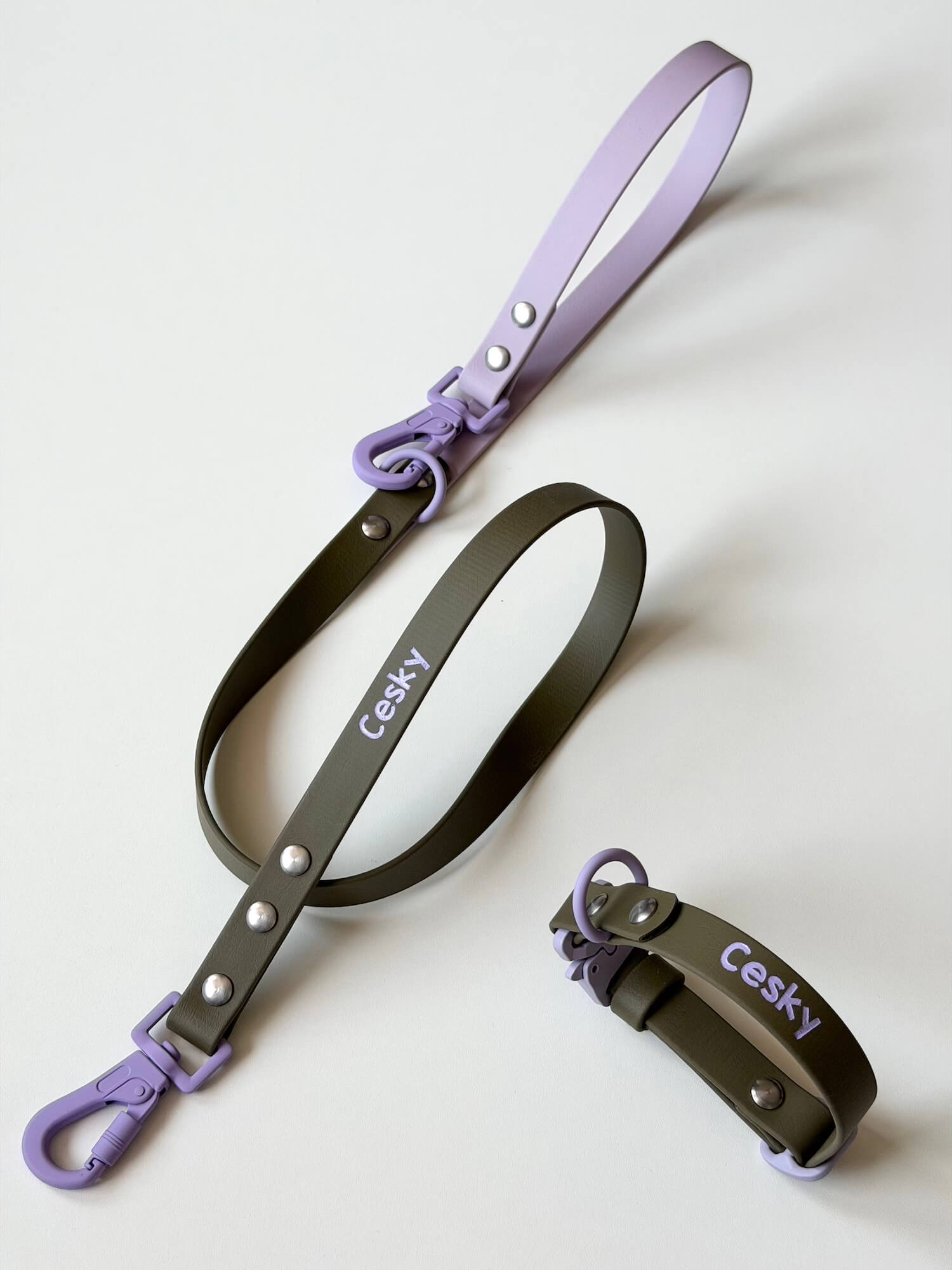 BioThane 19mm Leash