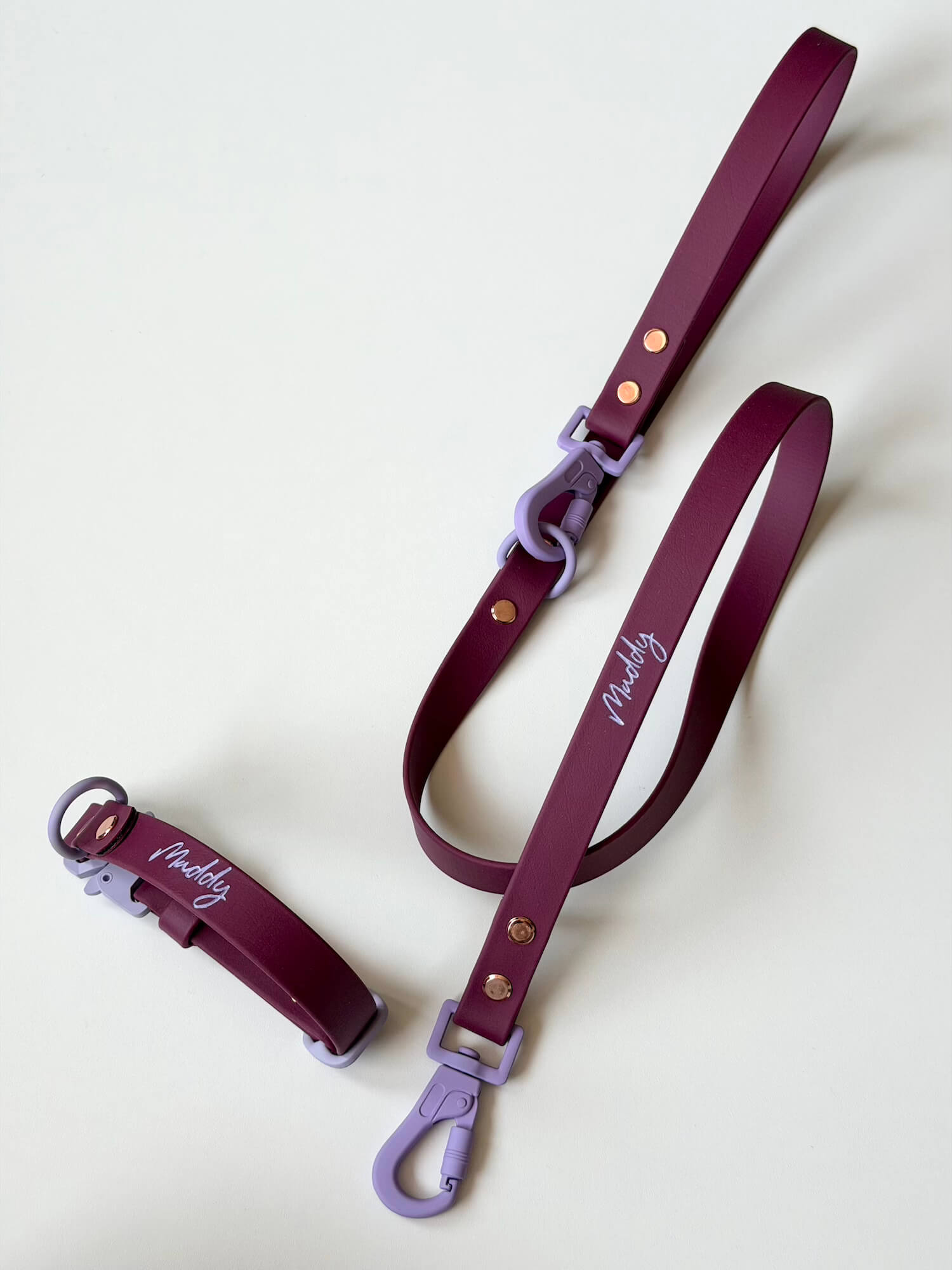 BioThane 19mm Leash