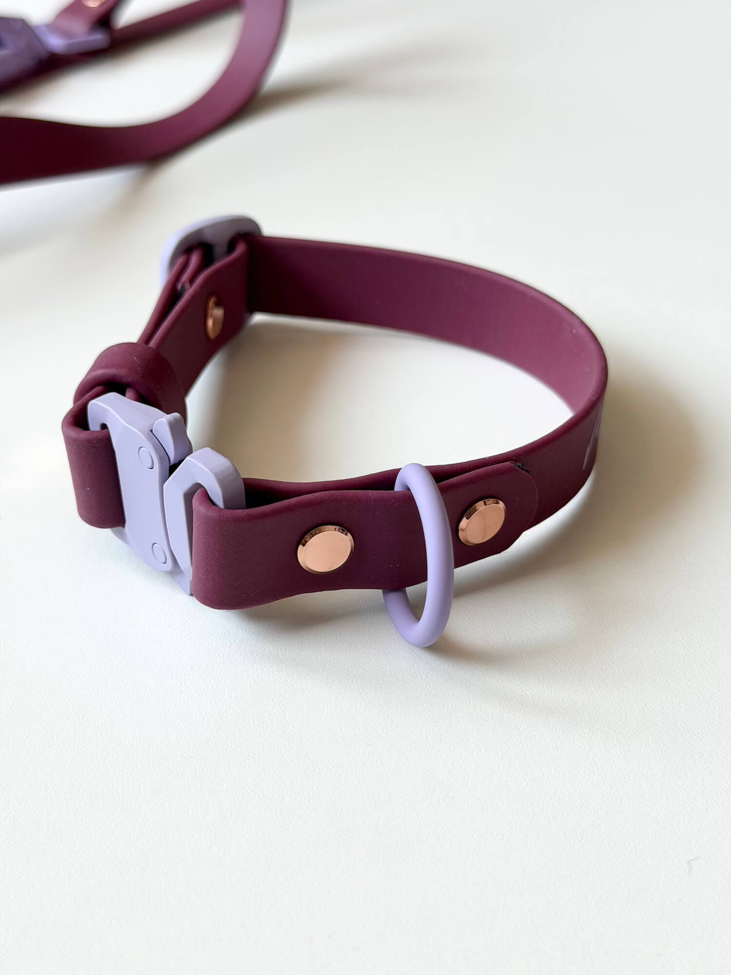 BioThane 19mm Collar