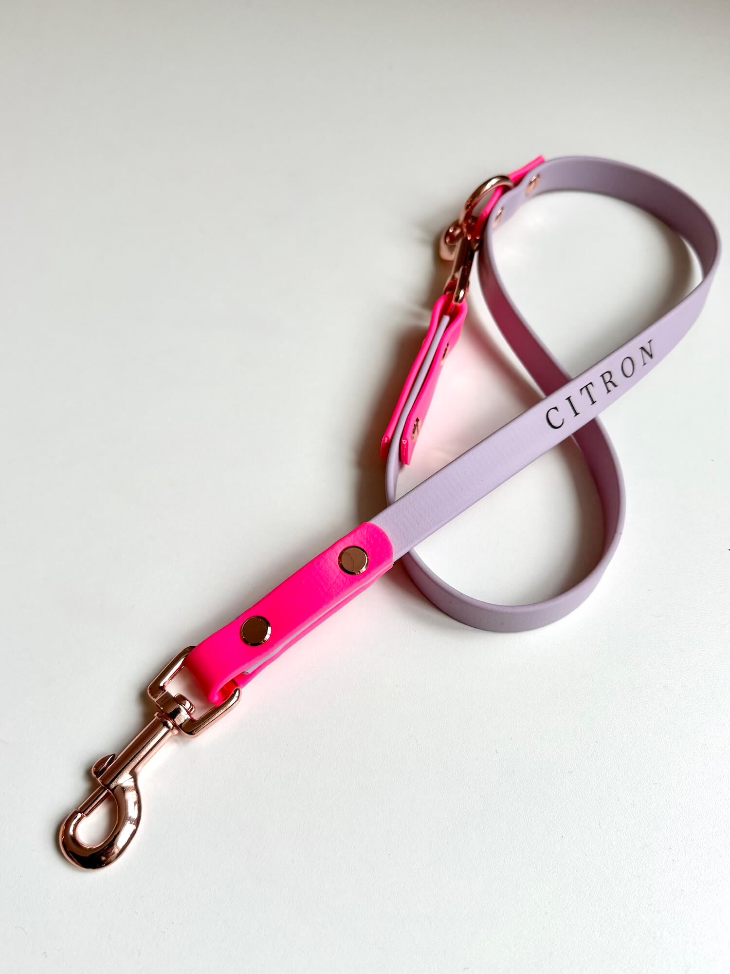 BioThane 16mm Leash