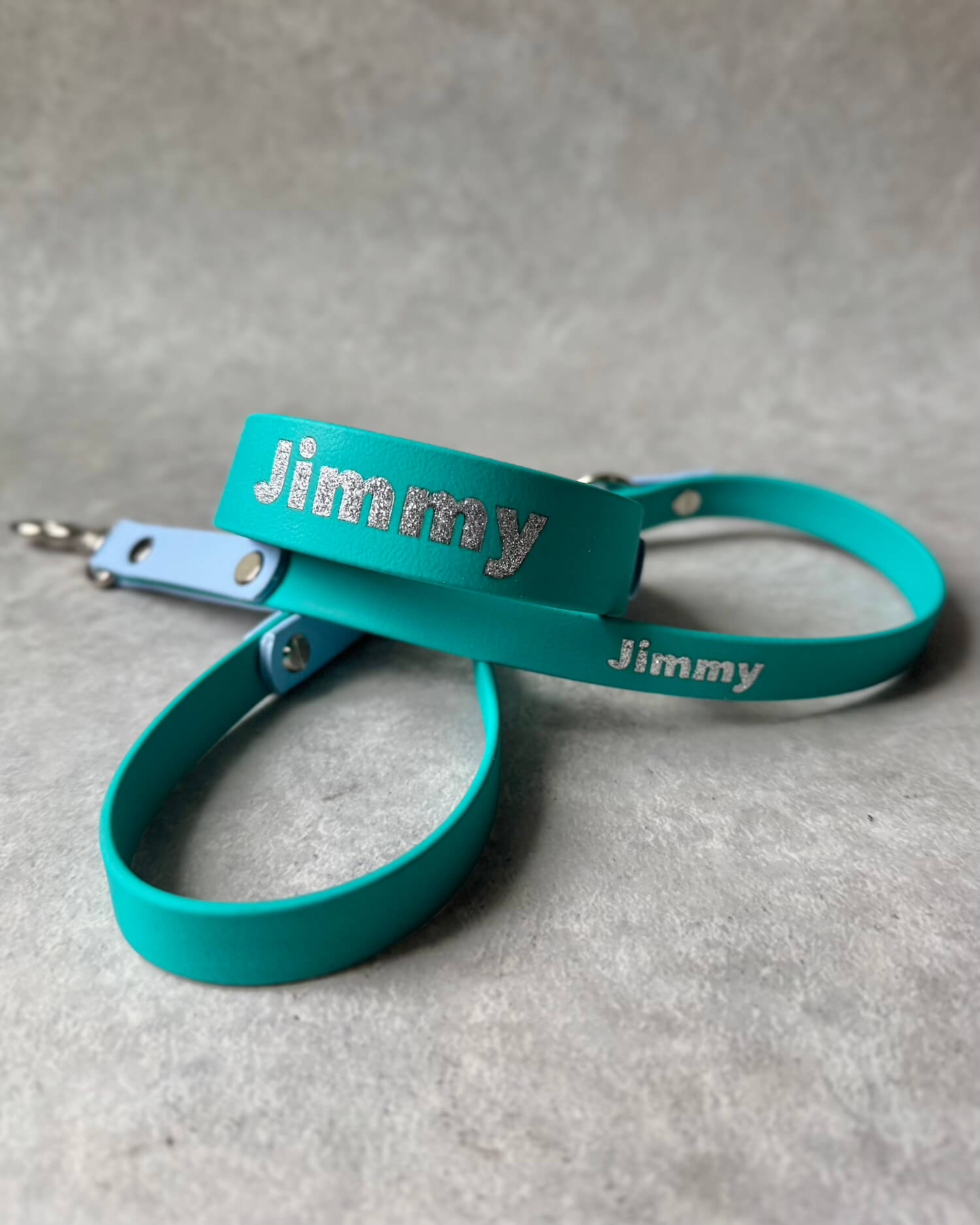 BioThane 16mm Leash