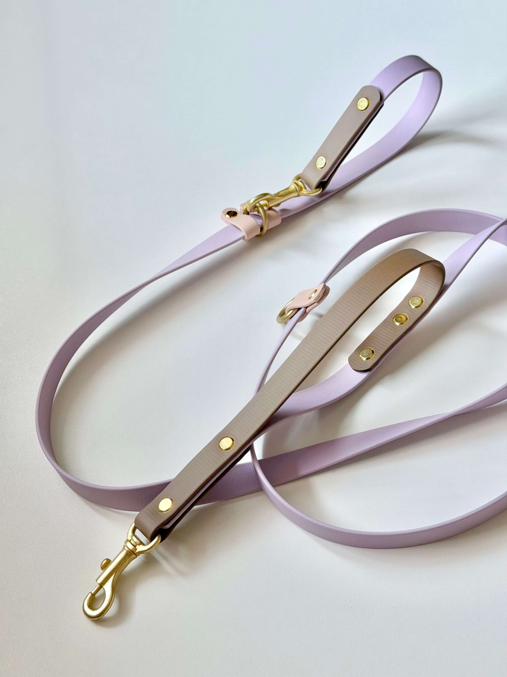 BioThane 19mm Leash