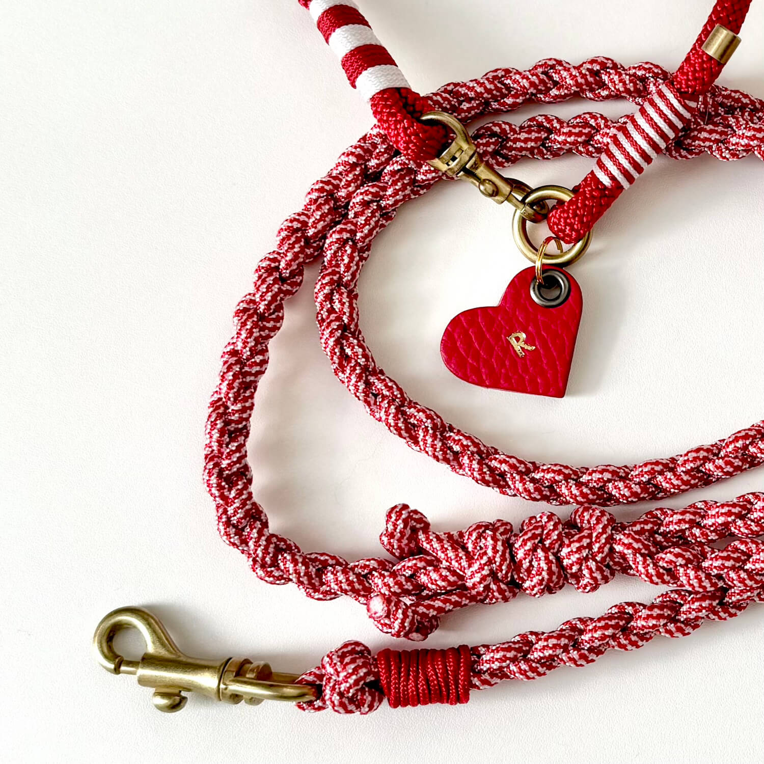 4-Strand Braided Leash