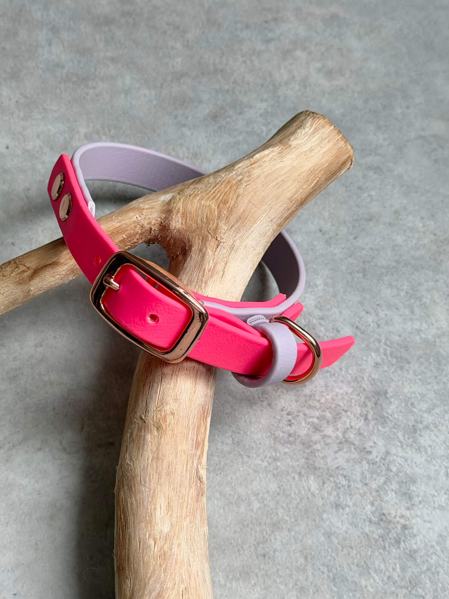 BioThane 16mm Collar