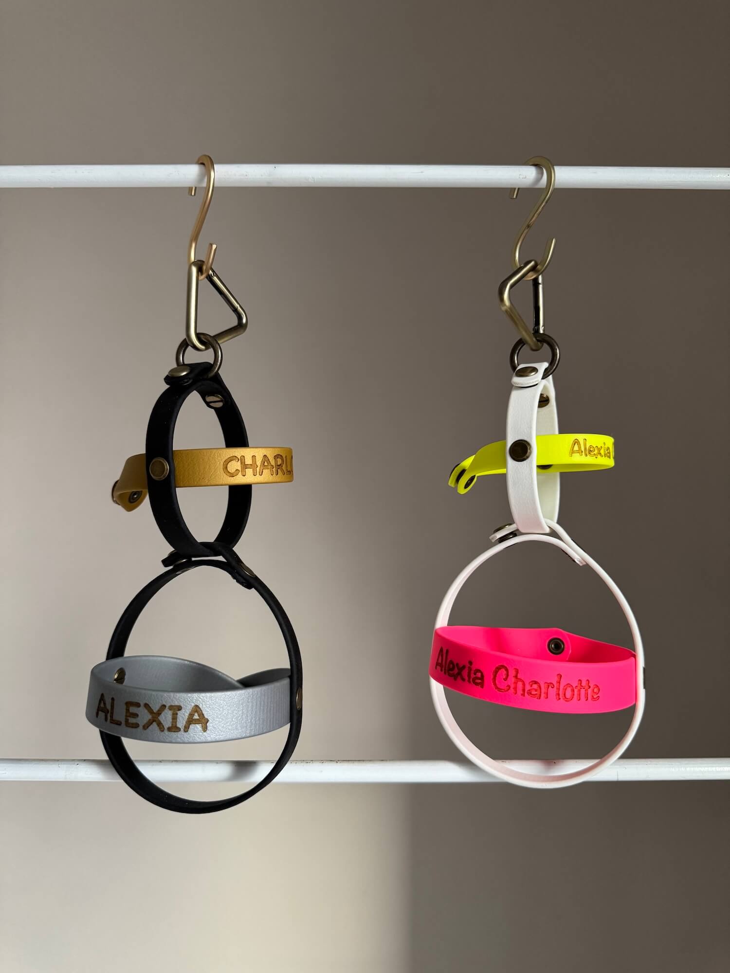 Ball Case