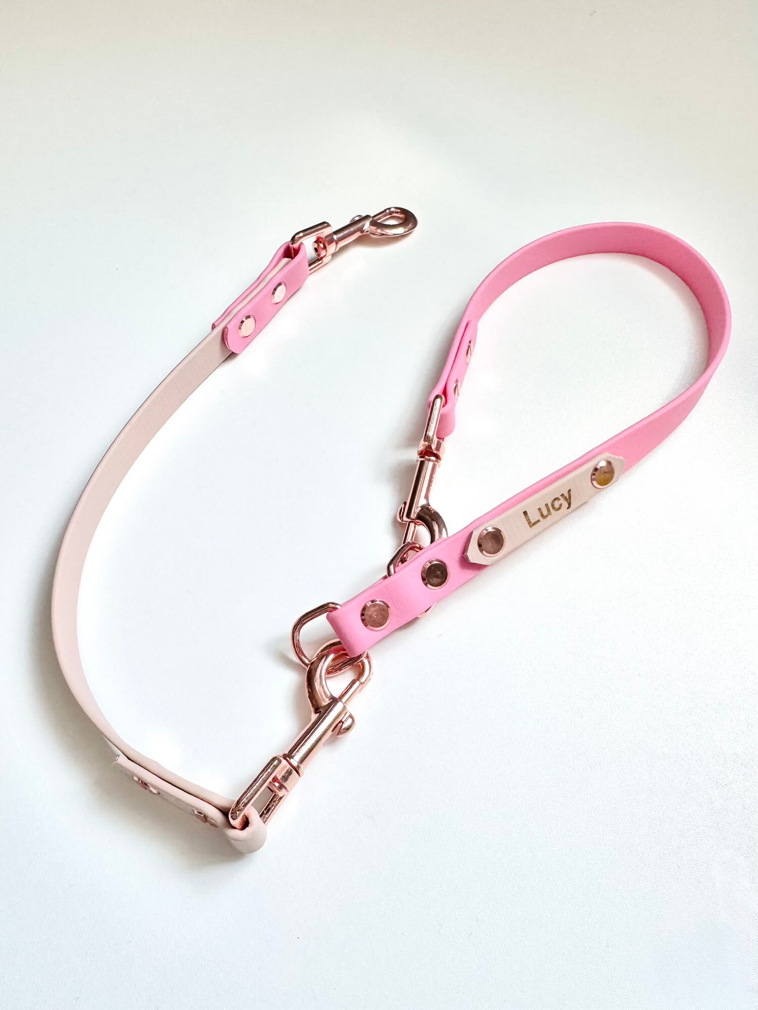 BioThane 16mm Leash
