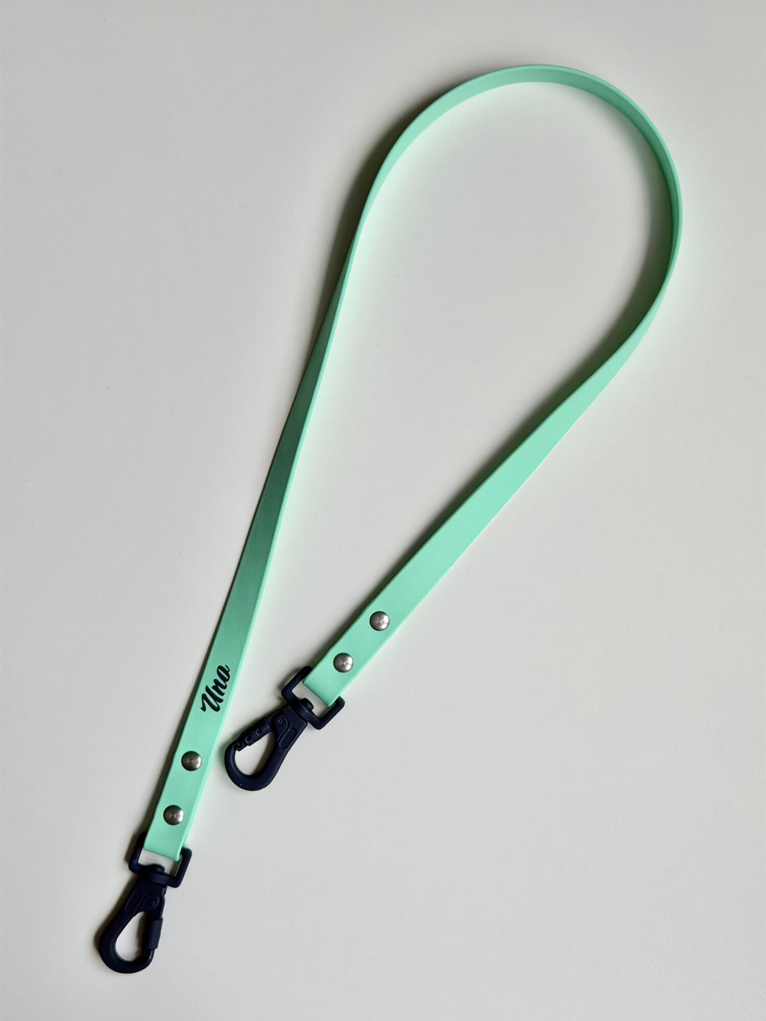 BioThane 19mm Leash