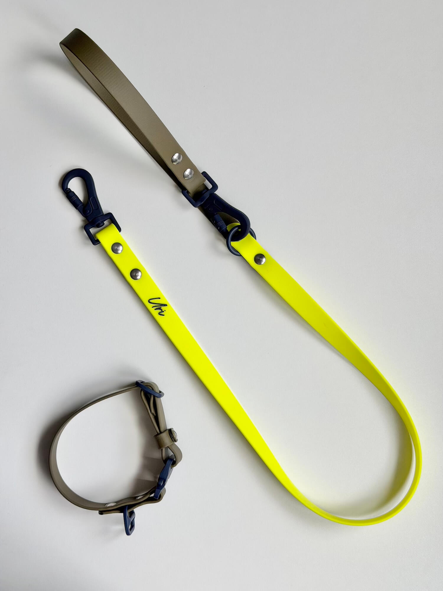 BioThane 19mm Leash