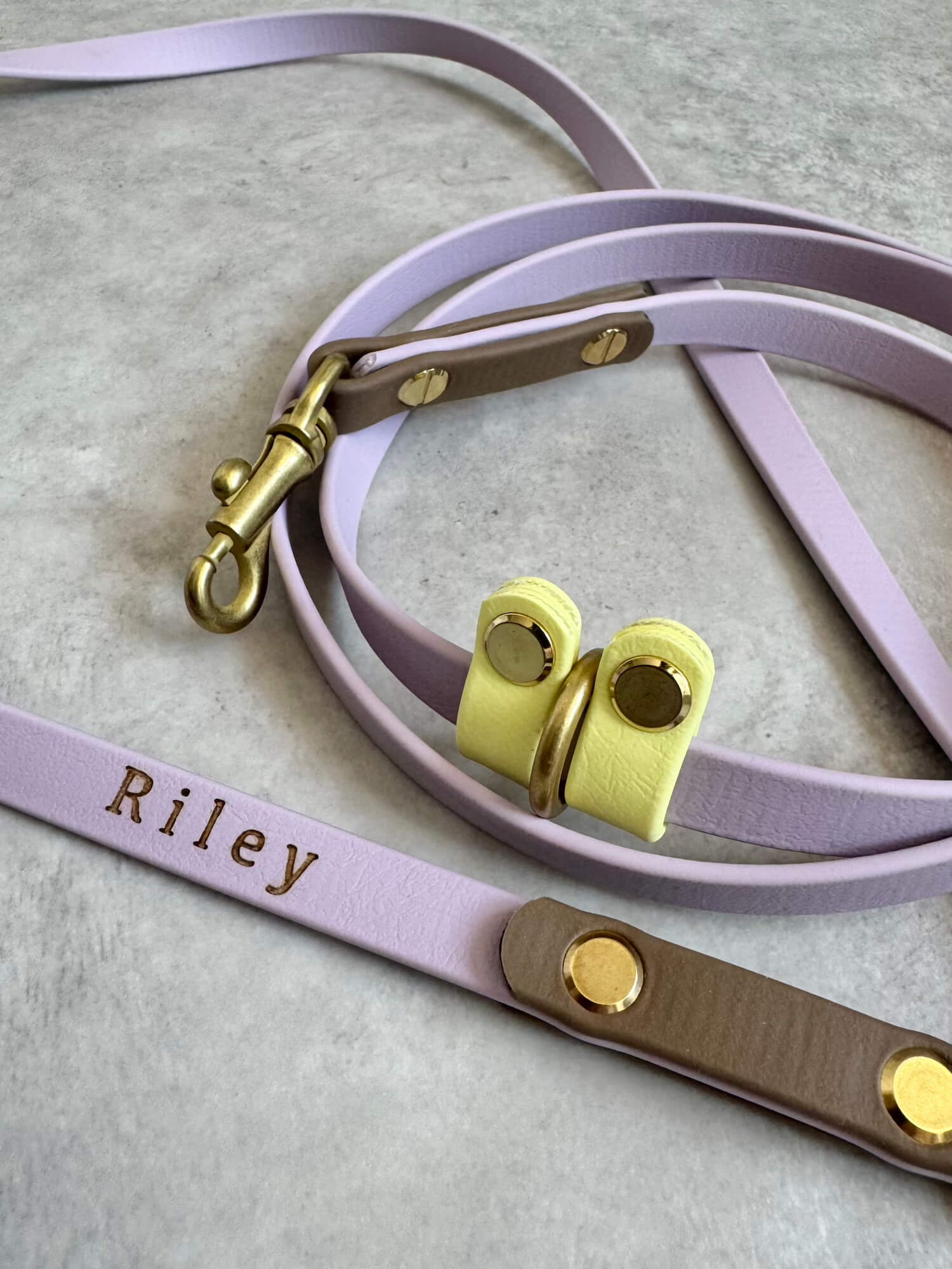 BioThane 13mm Leash
