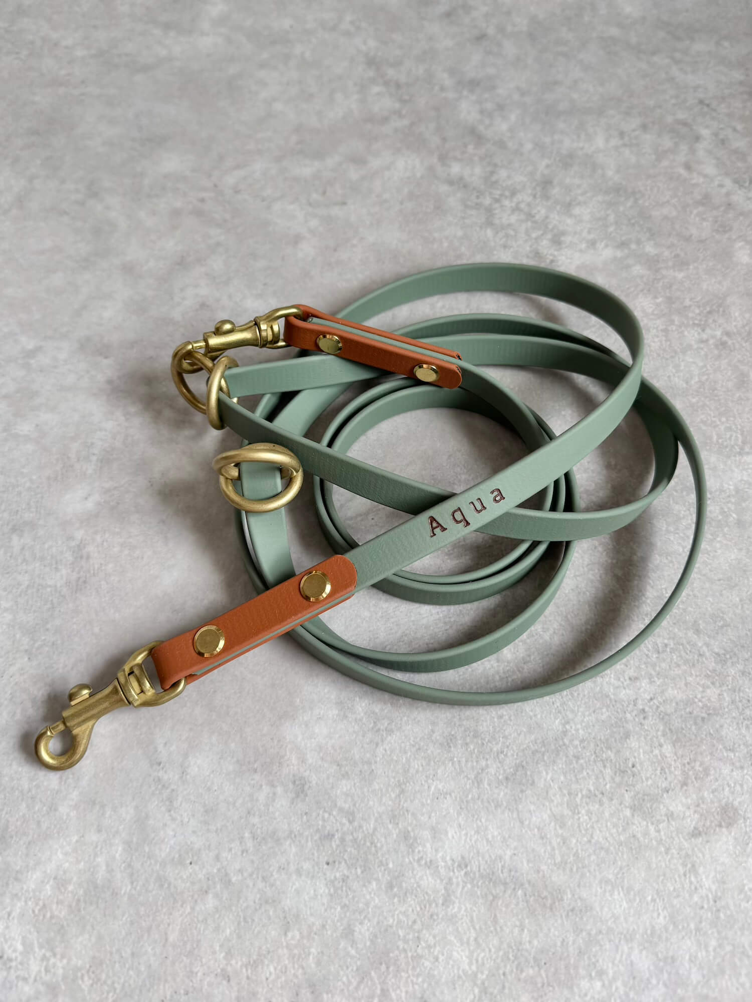 BioThane 13mm Leash