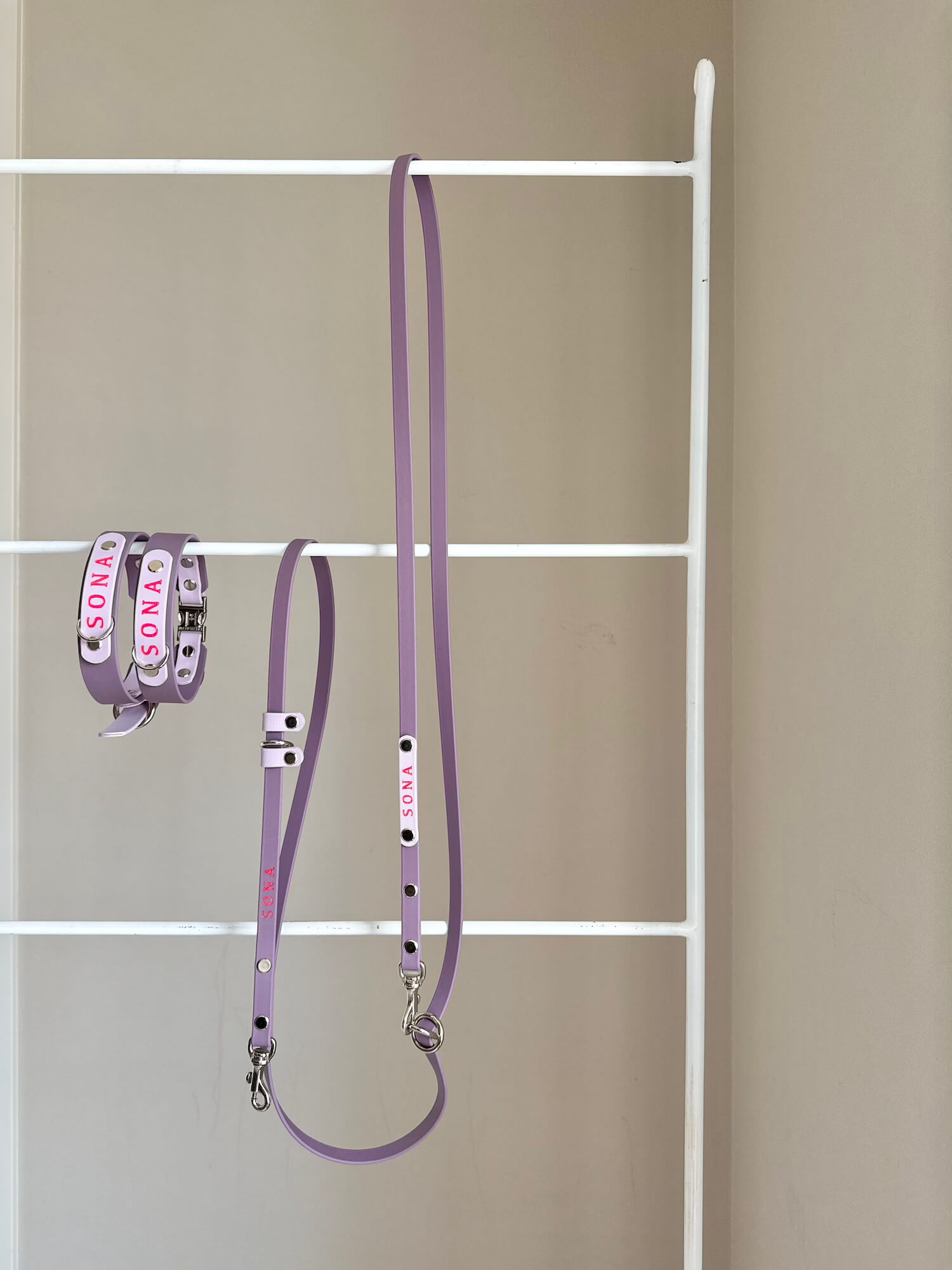 BioThane 13mm Leash